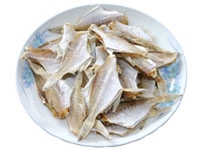 馬面魚