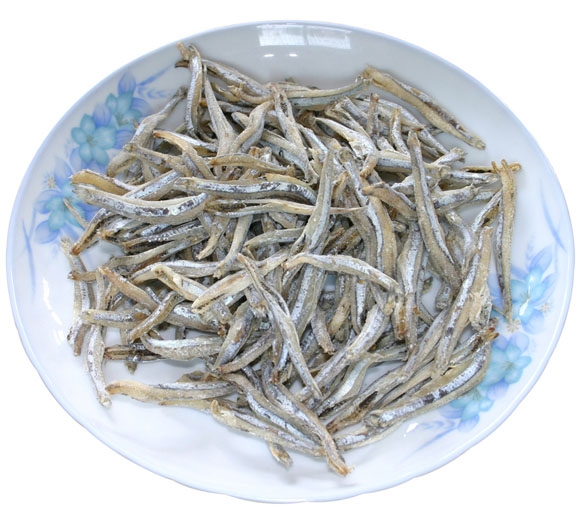 海燕魚(yú)