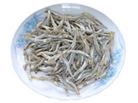海燕魚