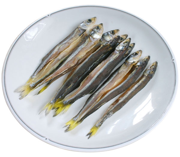 苦瓜魚