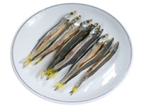苦瓜魚(yú)