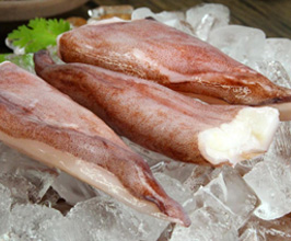 魷魚(yú)尾尖